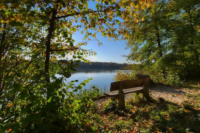 比的篮球巨 比的篮球巨