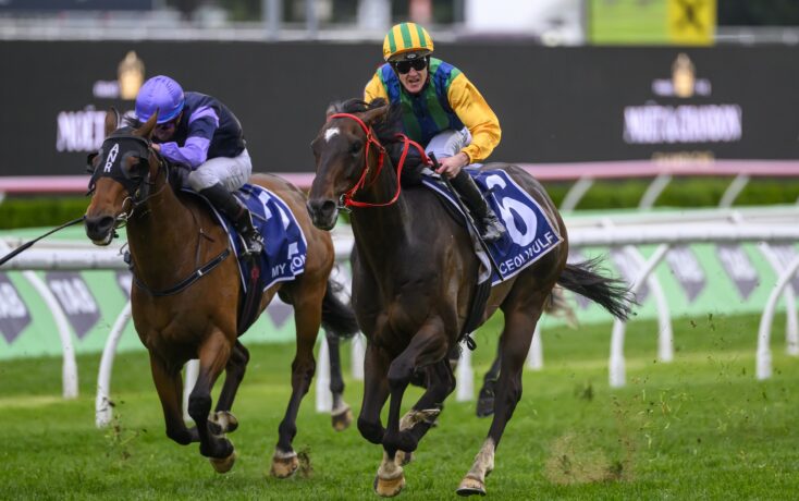 刘少昂不仅 刘少昂不仅